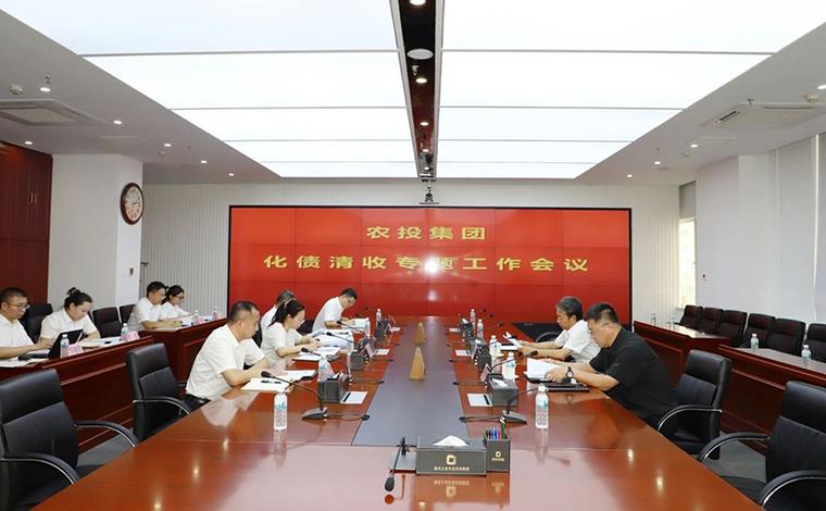 农投集团召开化债清收专题工作会议 着力推进风险化解与资金回笼
